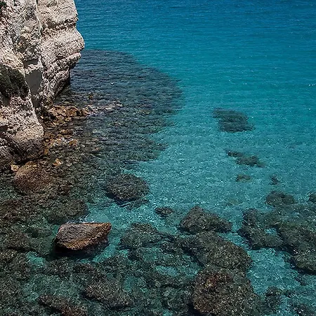 公寓 Beach Torre Dell'orso M809 *